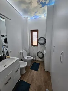 Casă 4 camere Moșnița Nouă - poza 4