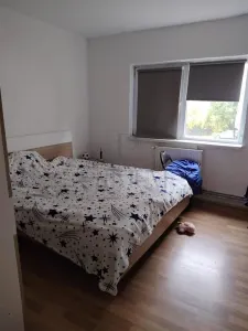 Apartament 4 camere Timișoara - poza 9