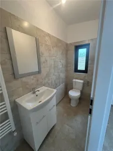 Casă 3 camere Sânmihaiu Român - poza 2