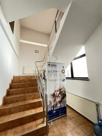 Casă 20 camere Timișoara - poza 1