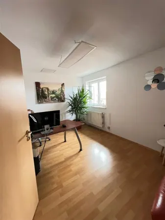 Casă 20 camere Timișoara - poza 11