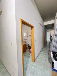 Casă 20 camere Timișoara - poza 8