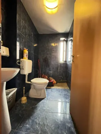Casă 20 camere Timișoara - poza 9