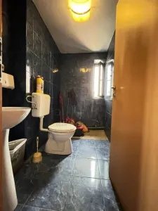 Casă 20 camere Timișoara - poza 9