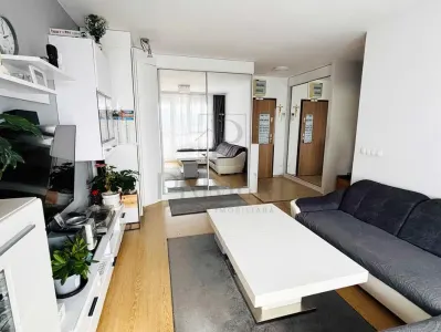 Apartament 3 camere Timișoara - poza 2