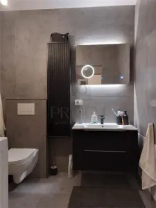 Casă 3 camere Sânmihaiu Român - poza 2