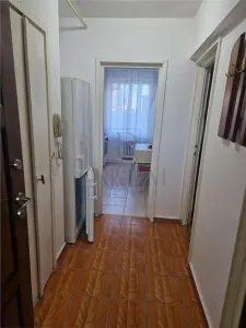 Apartament 2 camere Timișoara - poza 4