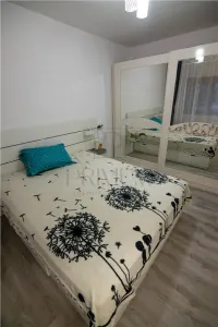Casă 3 camere Moșnița Nouă - poza 6
