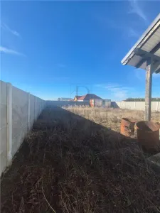 Casă 3 camere Moșnița Nouă - poza 5