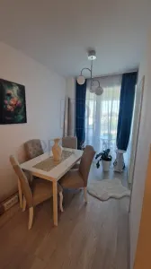 Apartament 1 camera Timișoara - poza 11