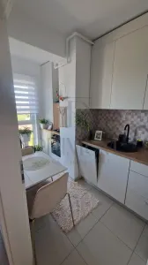 Apartament 1 camera Timișoara - poza 4