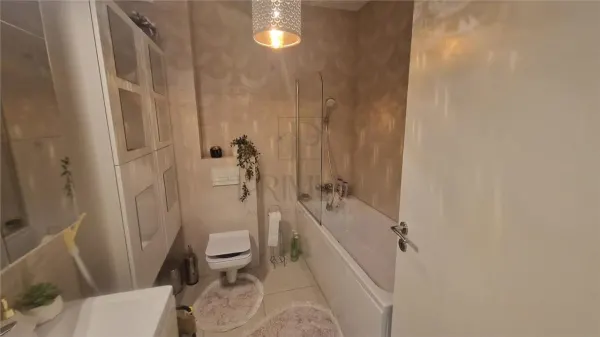 Apartament 1 camera Timișoara - poza 9