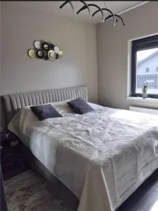 Casă 3 camere Sânmihaiu Român - poza 4