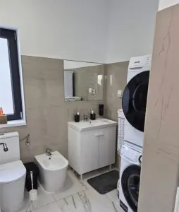 Casă 3 camere Sânmihaiu Român - poza 6