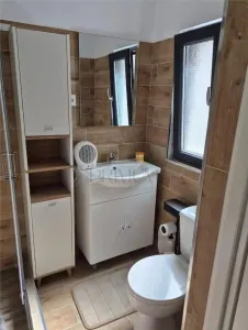 Casă 3 camere Sânmihaiu Român - poza 7