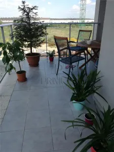 Apartament 2 camere Timișoara - poza 1