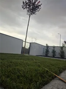 Casă 3 camere Moșnița Nouă - poza 5