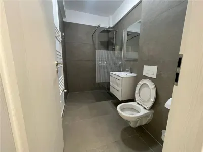 Apartament 1 camera Timișoara - poza 11
