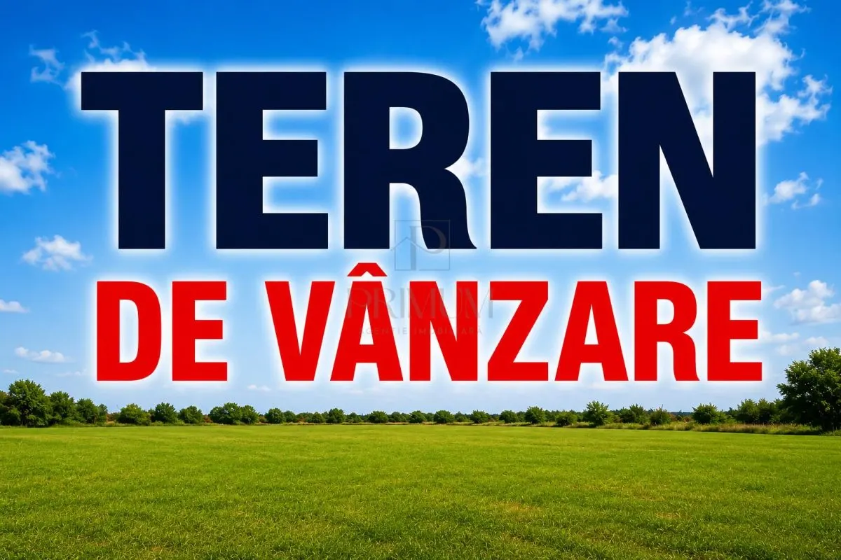 Teren Săcălaz - poza 1