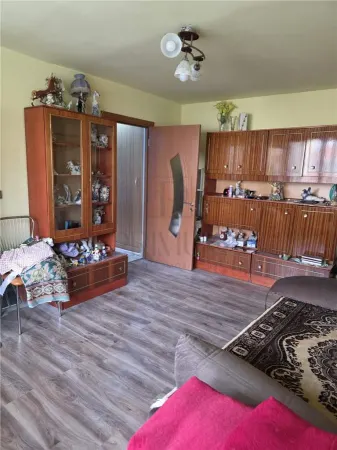 Apartament 3 camere Timișoara - poza 2