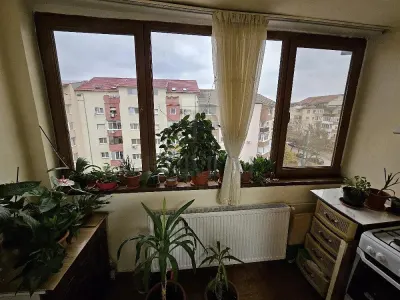 Apartament 3 camere Timișoara - poza 9