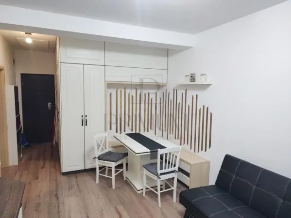 Apartament 1 camera Dumbrăvița - poza 2