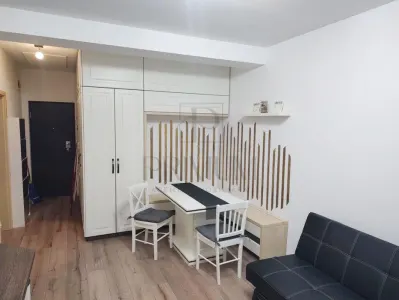 Apartament 1 camera Dumbrăvița - poza 2