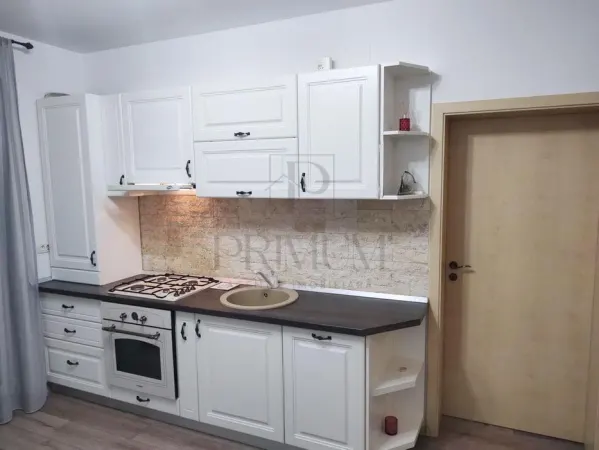 Apartament 1 camera Dumbrăvița - poza 6