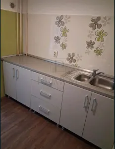 Apartament 3 camere Timișoara - poza 2