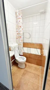 Apartament 1 camera Timișoara - poza 8