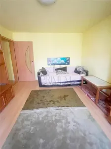 Apartament 1 camera Timișoara - poza 2