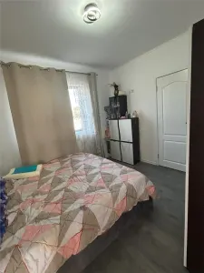 Casă 3 camere Sânmihaiu Român - poza 8