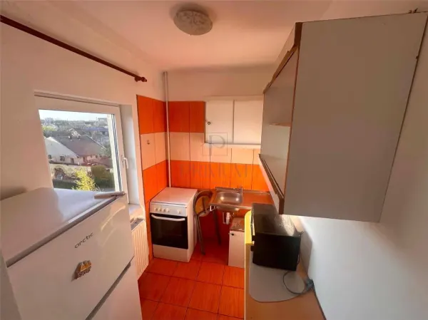 Apartament 1 camera Timișoara - poza 3