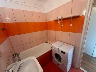 Apartament 1 camera Timișoara - poza 4