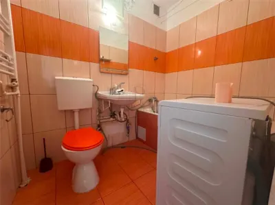 Apartament 1 camera Timișoara - poza 5