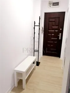Apartament 1 camera Timișoara - poza 5