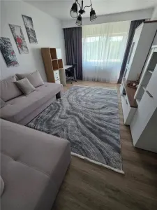 Apartament 3 camere Timișoara - poza 6