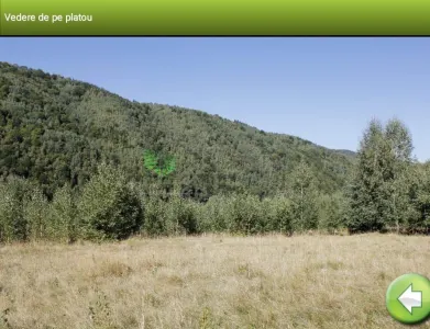 Teren Zărnești - poza 5