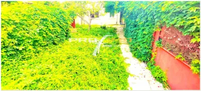 Casă 4 camere Constanța - poza 17