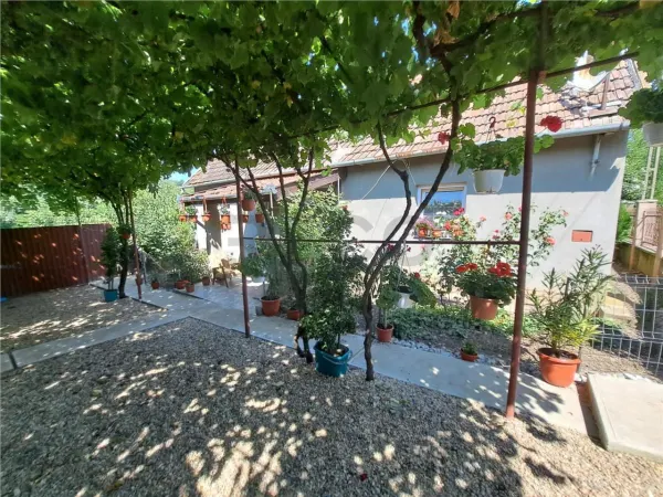 Casă 4 camere Cadea - poza 16