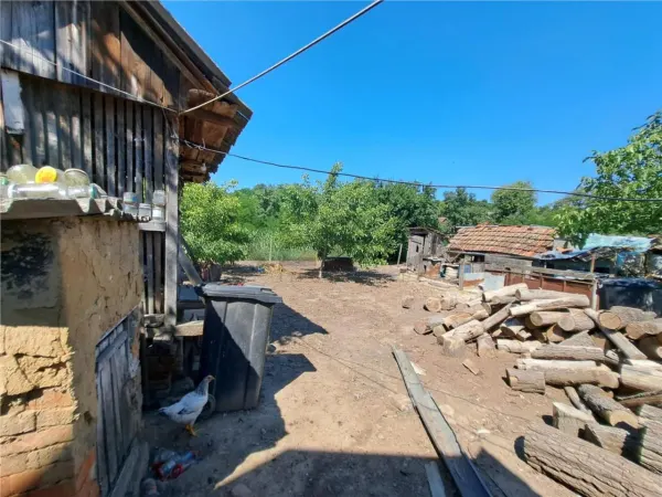 Casă 4 camere Cadea - poza 18