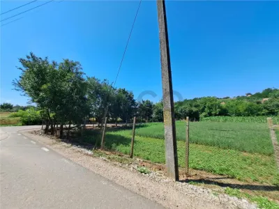 Casă 4 camere Cadea - poza 19