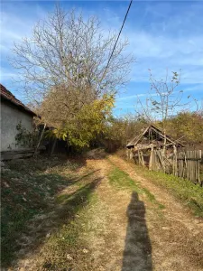 Casă 3 camere Burzuc - poza 8