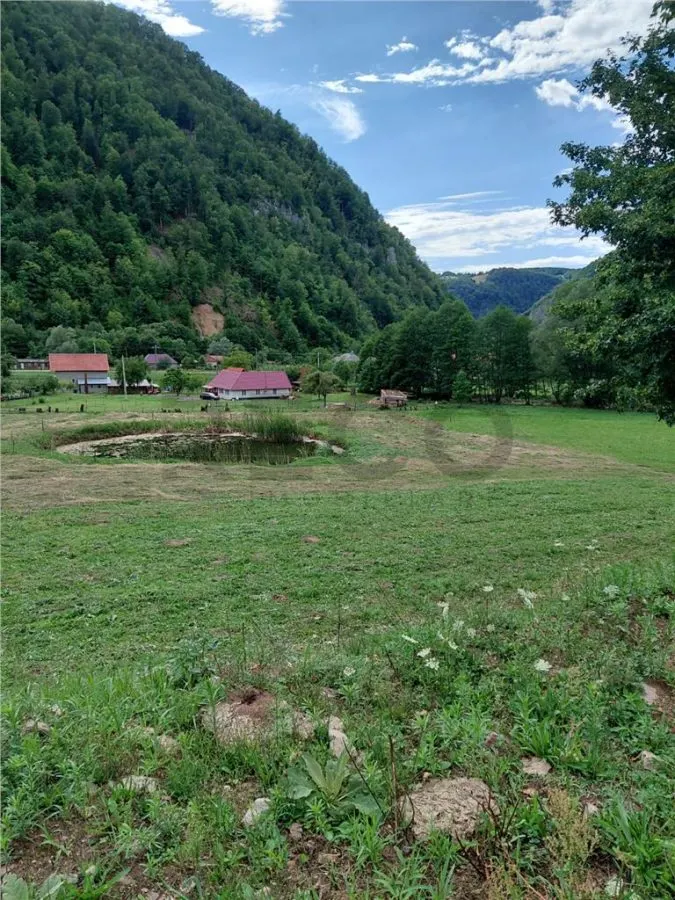 Teren Bulz - poza 1