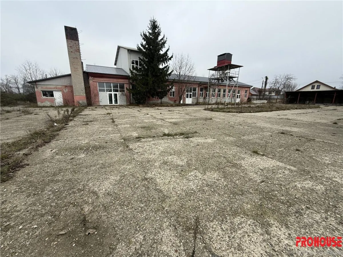 Spațiu industrial Bacău - poza 1