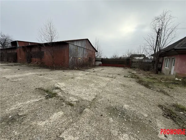 Spațiu industrial Bacău - poza 2
