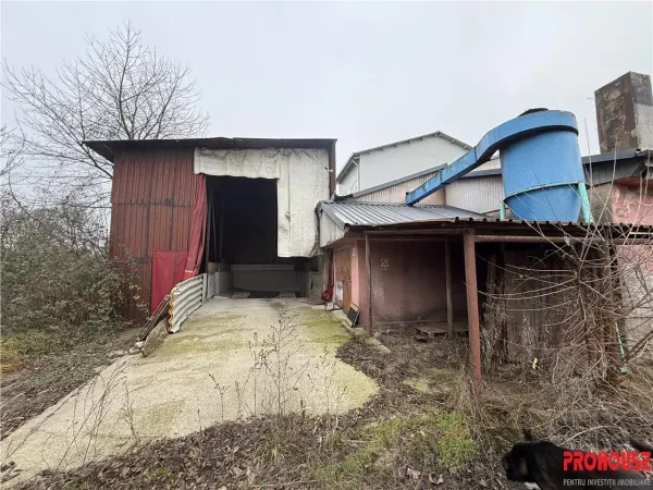 Spațiu industrial Bacău - poza 5