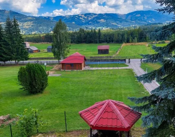 Casă 6 camere Neagra Sarului - poza 2