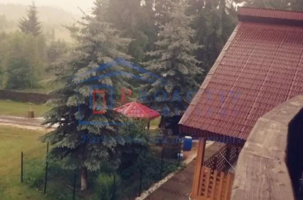 Casă 6 camere Neagra Sarului - poza 12