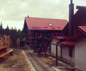 Casă 6 camere Neagra Sarului - poza 13